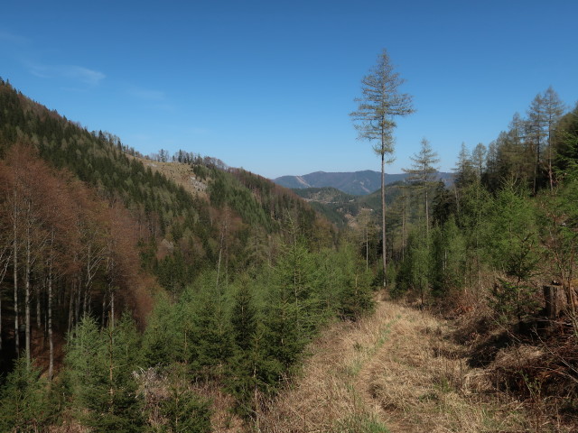 zwischen Tirolerkogel und Dachsental