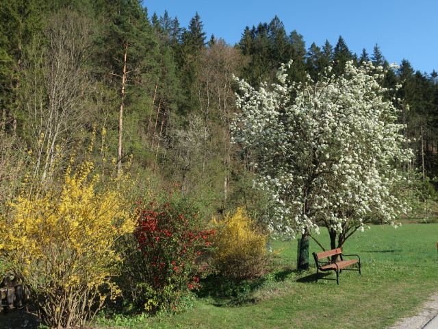 zwischen Wirtshaus Pöttigmühle und Auhof