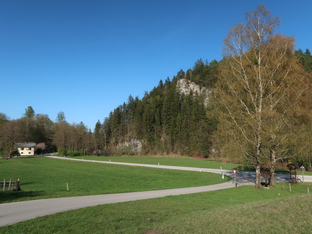 zwischen Wirtshaus P&ouml;ttigm&uuml;hle und Auhof