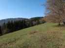 zwischen Am Berg und Karnerhofspitze