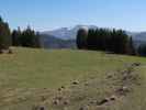 zwischen Tirolerkogel und Dachsental