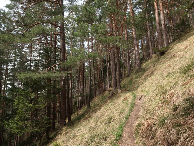 zwischen Gobenzsattel und Schoberkapelle
