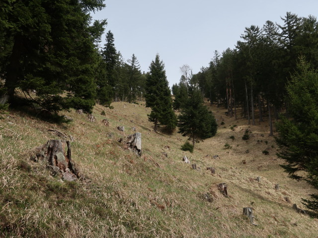 zwischen Gobenzsattel und Schoberkapelle