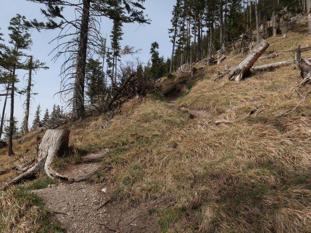 zwischen Schoberkapelle und Schober