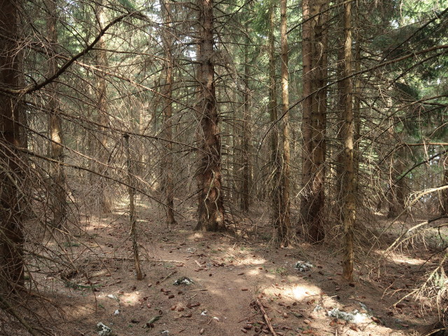 zwischen Schober und Öhler