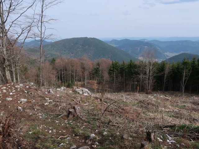 zwischen Öhler und Öhlerschutzhaus