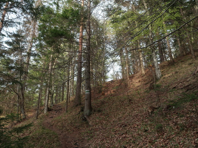 zwischen &Ouml;hlerschutzhaus und Zinsensteiner