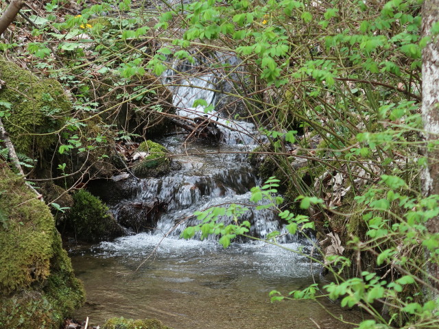 zwischen &Ouml;hlerschutzhaus und Zinsensteiner