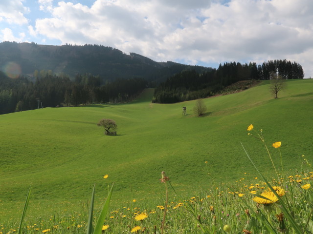 zwischen Hollenstein an der Ybbs und Sattel