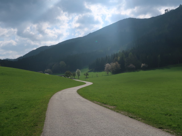 zwischen Sattel und Hochschlag