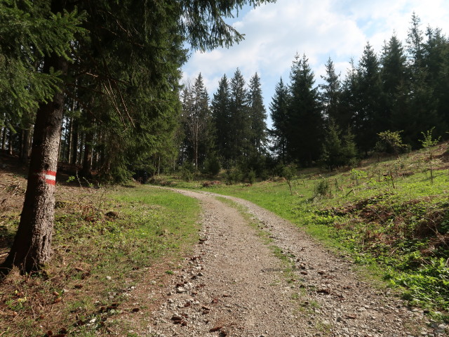 zwischen Hochschlag und Turnh&ouml;he