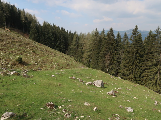 zwischen Hochschlag und Turnh&ouml;he