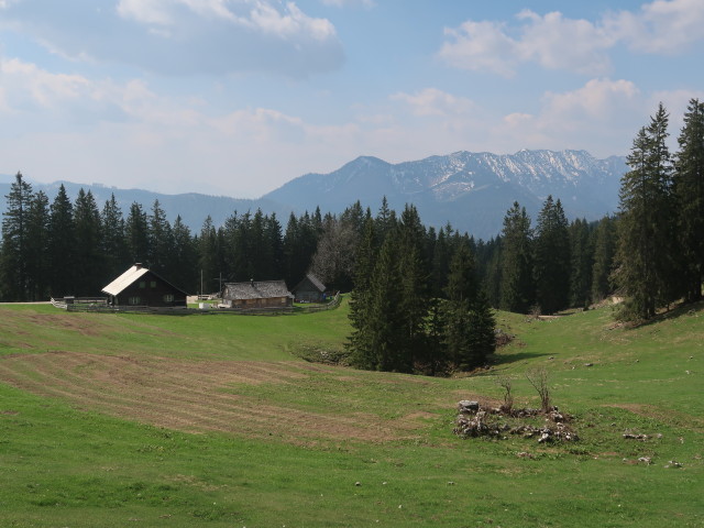 Kitzhütte, 1.266 m