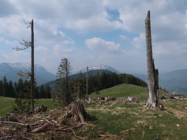 zwischen Hochschlag und Turnh&ouml;he