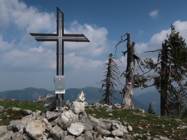 Turnhöhe, 1.439 m