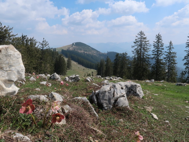 zwischen Turnh&ouml;he und Vierh&uuml;tten