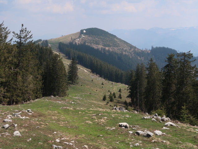 zwischen Turnh&ouml;he und Vierh&uuml;tten