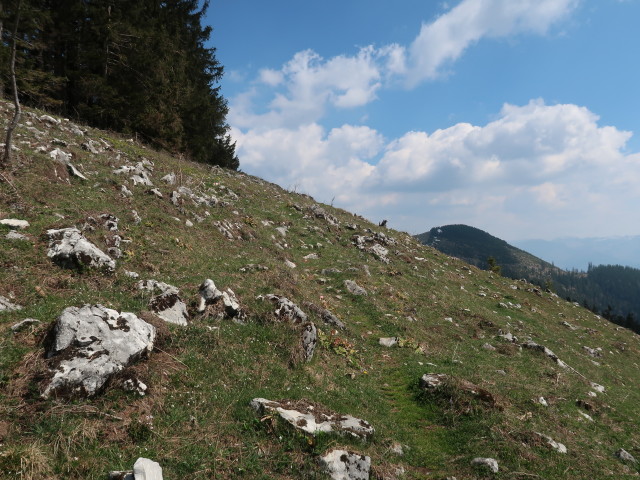 zwischen Turnhöhe und Vierhütten