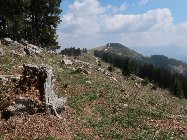 zwischen Turnh&ouml;he und Vierh&uuml;tten
