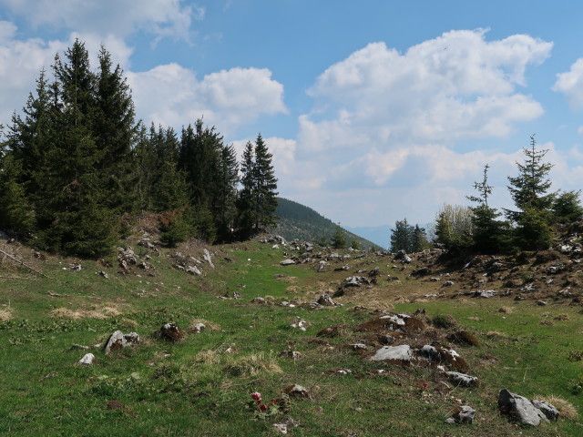 zwischen Turnh&ouml;he und Vierh&uuml;tten