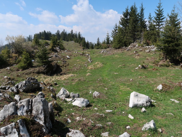 zwischen Turnh&ouml;he und Vierh&uuml;tten