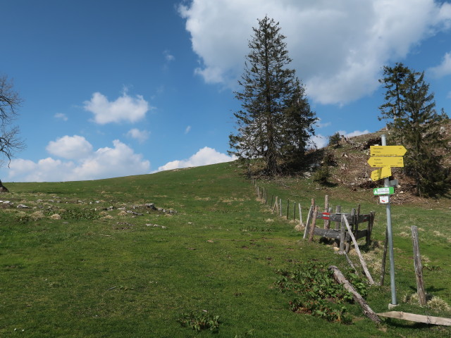 zwischen Daucheralm und Kitzh&uuml;tte