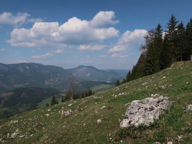 zwischen Kitzhütte und Hochschlag