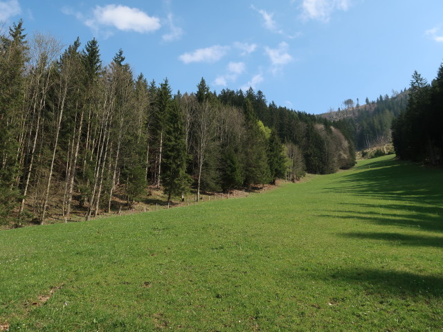 zwischen Kitzhütte und Hochschlag