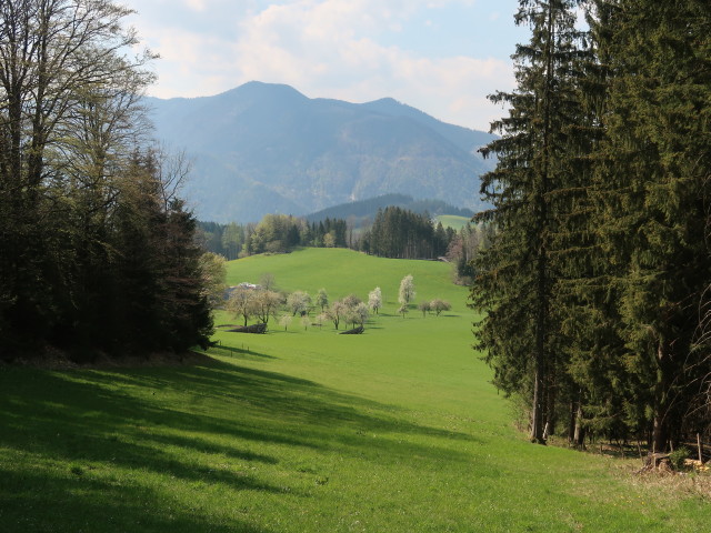 zwischen Kitzh&uuml;tte und Hochschlag