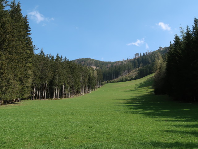 zwischen Kitzhütte und Hochschlag