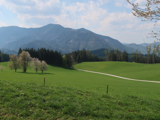 zwischen Kitzh&uuml;tte und Hochschlag