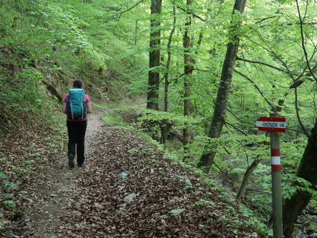 Sabine im Tießenbachtal