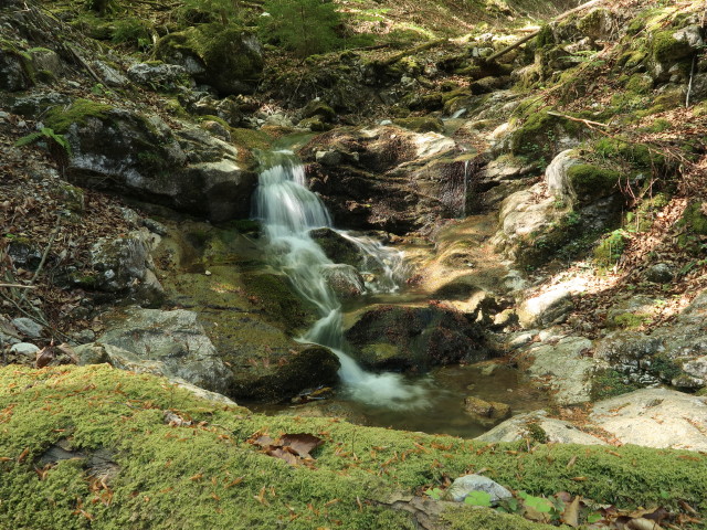 zwischen Tie&szlig;enbachtal und Vorderer Salmh&uuml;tte