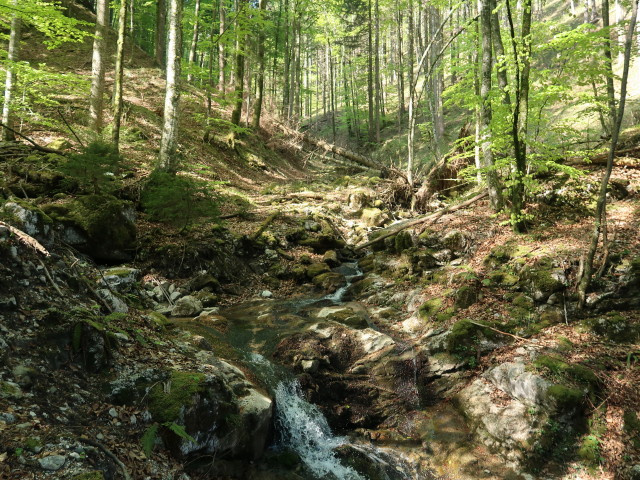 zwischen Tie&szlig;enbachtal und Vorderer Salmh&uuml;tte