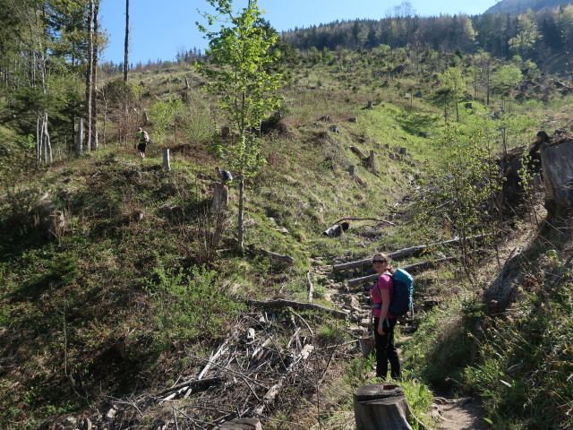 Sabine zwischen Tie&szlig;enbachtal und Vorderer Salmh&uuml;tte