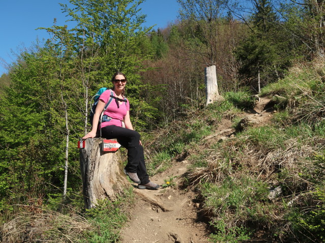 Sabine zwischen Tie&szlig;enbachtal und Vorderer Salmh&uuml;tte