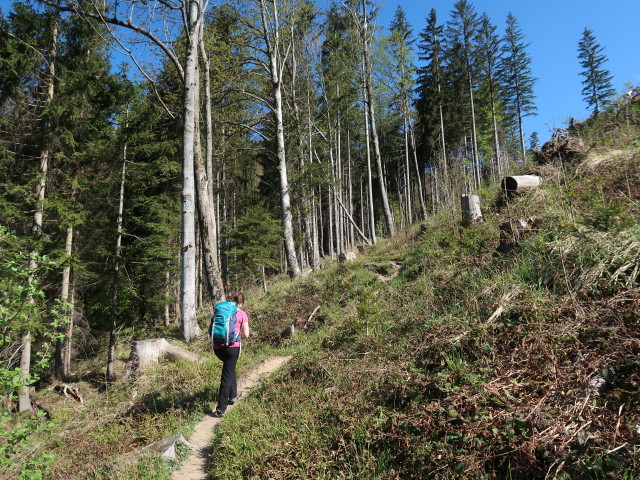 Sabine zwischen Tie&szlig;enbachtal und Vorderer Salmh&uuml;tte