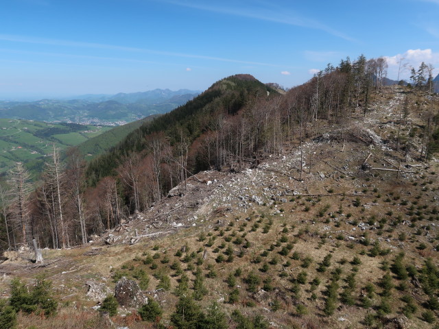 zwischen Raukogel und Hollerberg