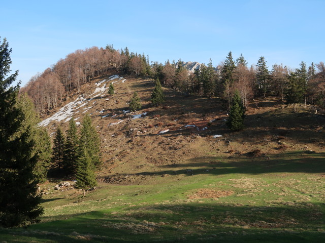 zwischen Pfannstein und Gradenalm