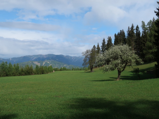 zwischen Brandgraben und Hochtrötsch