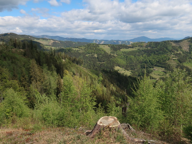 vom Schankkogel Richtung Nordwesten