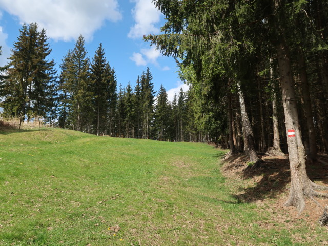 zwischen Wollingerkreuz und Zöllerhütte