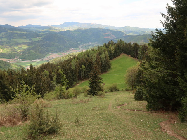 zwischen Haneggkogel und Schenkenberg