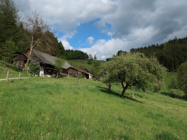 zwischen Siglkreuz und Arzwaldgraben