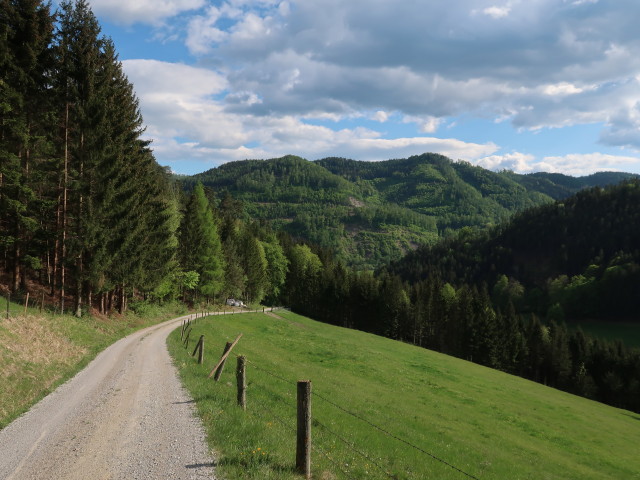 zwischen Siglkreuz und Arzwaldgraben