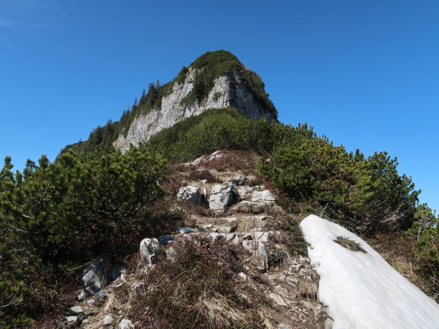 zwischen Schmittenstein und Bergalm