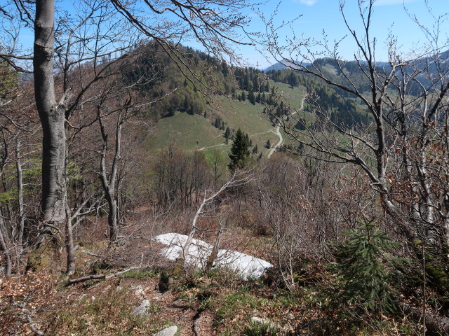 zwischen Schmittenstein und Bergalm