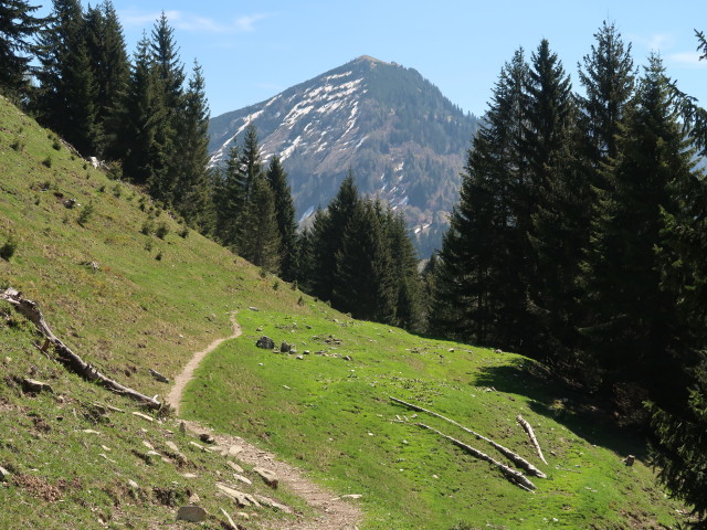 zwischen Schmittenstein und Bergalm