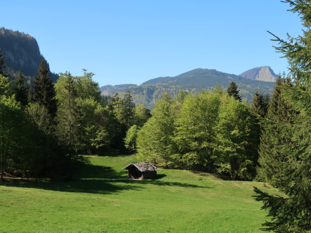 zwischen Genneralm und Lämmerbach