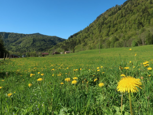 zwischen Lämmerbach und Hintersee
